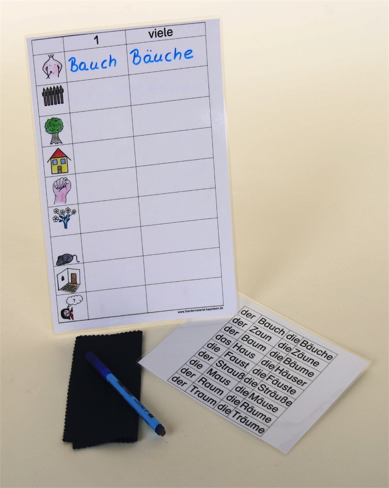 Pluralbildung (au-äu)