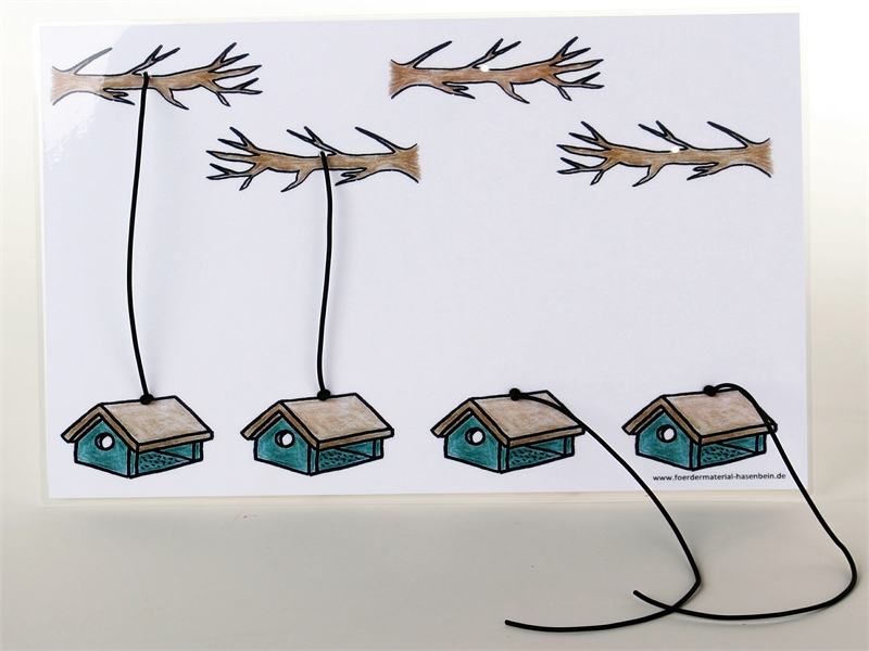 Vogelhaus - Ast